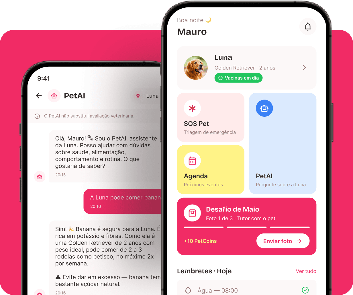 Telas do app Petzay mostrando PetAI e Home